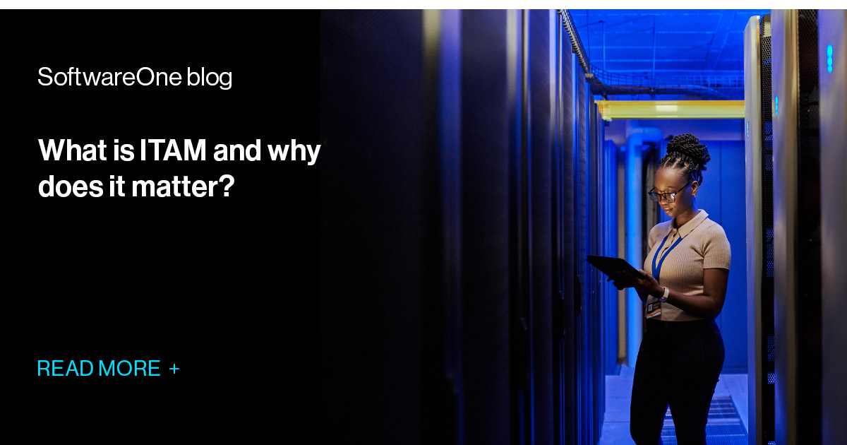 What is ITAM and why does it matter? | SoftwareOne blog