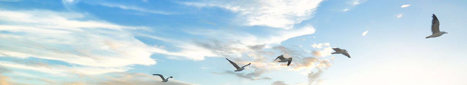 cloud-services-unsplash-OD9EOzfSOh0-hero